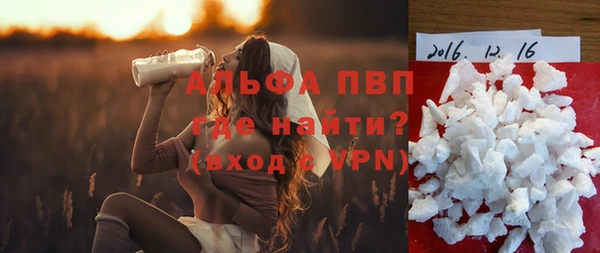 гидра Алексин