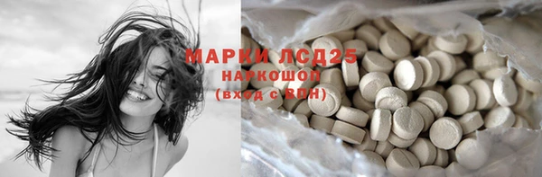 ПСИЛОЦИБИНОВЫЕ ГРИБЫ Алзамай