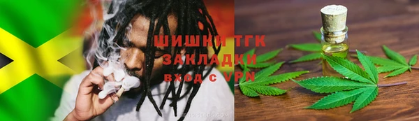 ПСИЛОЦИБИНОВЫЕ ГРИБЫ Алзамай