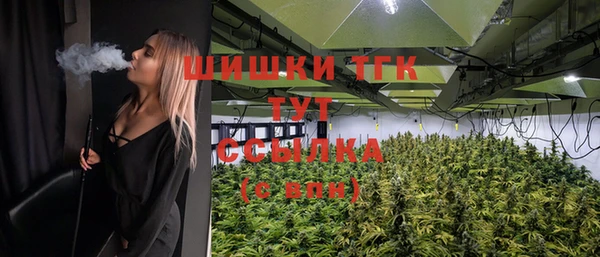 гидра Алексин